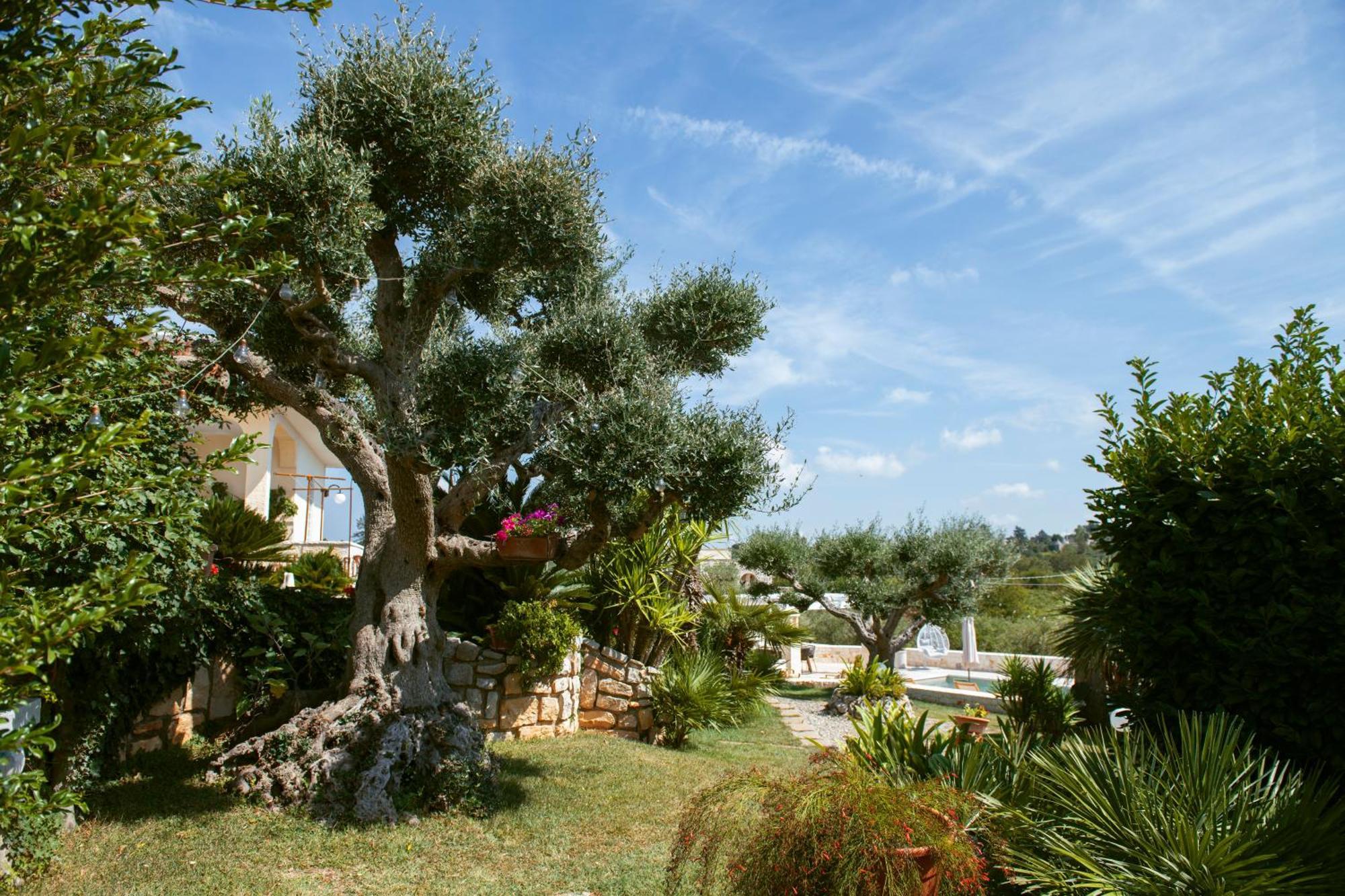 Holiday Home Cosimo Locorotondo Exterior photo